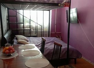Продажа комнаты, 17 м2, Санкт-Петербург, улица Ефимова, 6, метро Сенная площадь