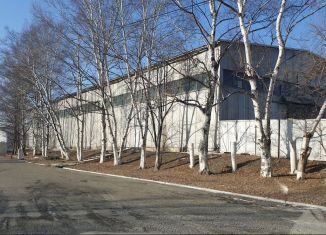 Продаю помещение свободного назначения, 5000 м2, Артём, Западная улица, 10