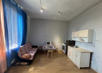 Квартира на продажу студия, 27 м2, городской посёлок Янино-1, Новая улица, 11А, ЖК Янинский Каскад-2