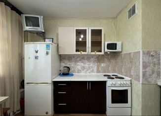 Аренда 1-комнатной квартиры, 37 м2, посёлок Парголово, улица Фёдора Абрамова, 15