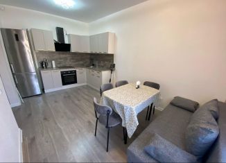 Аренда 2-комнатной квартиры, 57 м2, Ленинградская область, улица Шоссе в Лаврики, 53к2