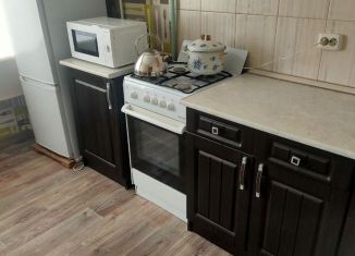 Аренда 1-комнатной квартиры, 31.4 м2, Санкт-Петербург, 2-я Комсомольская улица, 40к1, муниципальный округ Константиновское