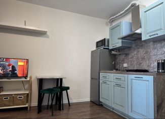Продаю квартиру студию, 18.9 м2, Санкт-Петербург, Красногвардейский район, Пахомовская улица, 26