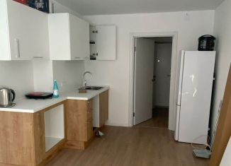 Сдается квартира студия, 24 м2, Колпино, улица Севастьянова, 32к4