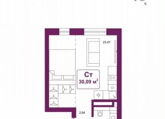 Продается квартира студия, 30.1 м2, деревня Дударева, улица Сергея Джанбровского, 25