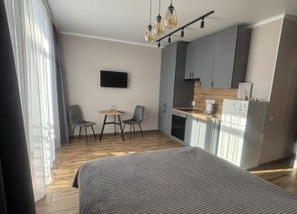 Сдам квартиру студию, 29 м2, Астраханская область, Васильковая улица, 7