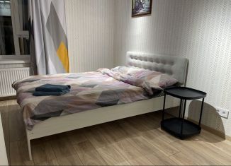 Сдается квартира студия, 25 м2, Сыктывкар, Петрозаводская улица, 43, район Орбита