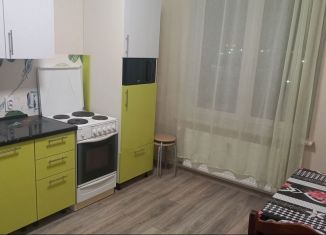 Сдача в аренду однокомнатной квартиры, 34 м2, Ленинградская область, улица Тюльпанов, 2к1