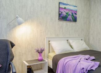 Сдаю в аренду 1-комнатную квартиру, 30 м2, Великий Новгород, Тихвинская улица, 2