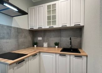 Сдам в аренду квартиру студию, 29 м2, Ростов-на-Дону, Магнитогорская улица, 2А, ЖК Екатерининский