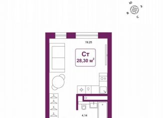 Продам квартиру студию, 28.3 м2, деревня Дударева, улица Сергея Джанбровского, 25