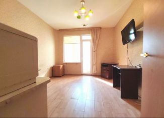 Квартира на продажу студия, 24.1 м2, деревня Новое Девяткино, Главная улица, 58