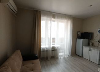 Продажа квартиры студии, 22 м2, Воронеж, улица Кривошеина, 13/9, ЖК Трамвай желаний