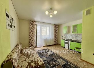 Продам квартиру студию, 26 м2, Миасс, улица Степана Разина, 14А