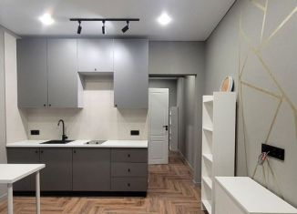 Аренда квартиры студии, 29 м2, деревня Куюки, Молодёжная улица, 29