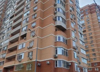 Продам 1-комнатную квартиру, 48 м2, Краснодар, Морская улица, 43, Западный округ