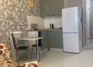 Сдам в аренду квартиру студию, 23 м2, Всеволожск, шоссе Дорога Жизни, 7к3