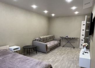 Аренда 1-комнатной квартиры, 38 м2, Амурская область, Студенческая улица, 33