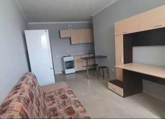Сдаю в аренду квартиру студию, 30 м2, Томск, Большая Подгорная улица, 87, ЖК Большая Подгорная
