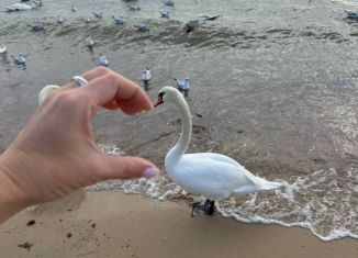 Продам земельный участок, 7 сот., село Уютное