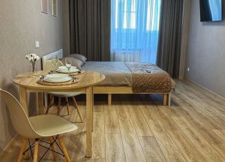 Сдача в аренду квартиры студии, 28 м2, Псков, Прибрежный проезд, 2