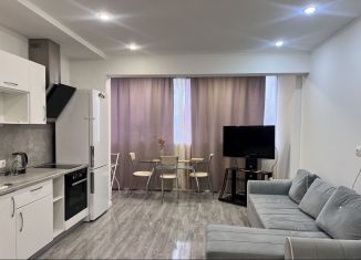 Сдача в аренду квартиры студии, 36.6 м2, деревня Павлино, деревня Павлино, 66