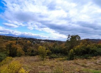 Продам участок, 8 сот., село Черешня