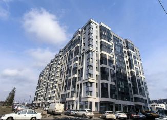 Сдается в аренду квартира студия, 25.6 м2, Ленинградская область, проспект Строителей, 1к1
