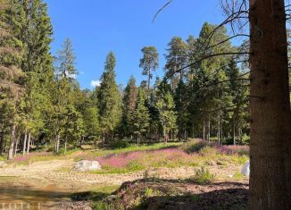 Участок на продажу, 47 сот., деревня Папушево