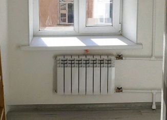 Продается квартира студия, 13 м2, Санкт-Петербург, Гороховая улица, 46Б, метро Сенная площадь