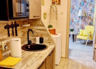 Сдается 1-ком. квартира, 34 м2, Нижний Новгород, улица Пискунова, 5, Нижегородский район
