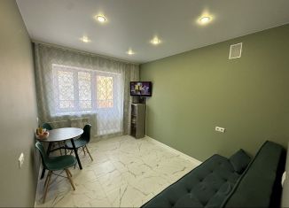 Продается 1-ком. квартира, 24 м2, рабочий поселок Маркова, микрорайон Берёзовый, 243