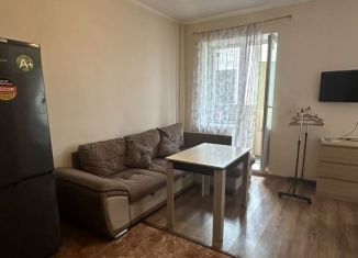 Сдается квартира студия, 29.6 м2, Люберцы, улица Камова, 6к1, ЖК Люберцы 2017