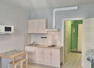 Сдам в аренду квартиру студию, 27 м2, Санкт-Петербург, Парашютная улица, 42к2, ЖК Граффити