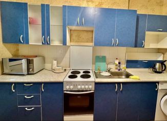 Сдача в аренду 1-ком. квартиры, 43 м2, Краснодар, улица Евгении Жигуленко, 3, ЖК Территория счастья