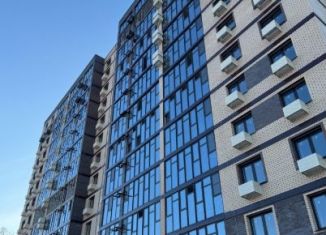 Продам 1-комнатную квартиру, 41.4 м2, Благовещенск, Пионерская улица, 120