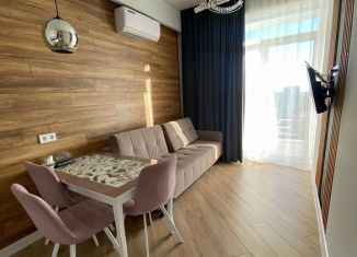 Аренда 1-комнатной квартиры, 50 м2, Сочи, Санаторная улица, 46, микрорайон Новый Сочи