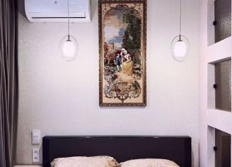 Сдается в аренду 1-ком. квартира, 47 м2, Сочи, переулок Трунова, 6к4, микрорайон Завокзальный