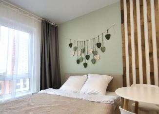 Аренда квартиры студии, 20 м2, Москва, Амурская улица, 2к2, район Гольяново