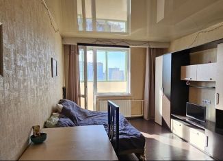 Сдаю квартиру студию, 26 м2, посёлок Шушары, Первомайская улица, 5к2