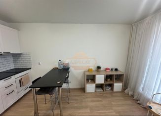 Продается квартира студия, 26 м2, Санкт-Петербург, Дальневосточный проспект, 33к1, Дальневосточный проспект