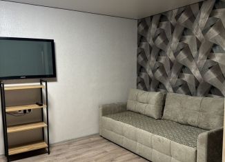 Сдается в аренду двухкомнатная квартира, 48 м2, поселок городского типа Шерегеш, улица Дзержинского, 14