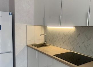 Сдам 1-ком. квартиру, 40 м2, деревня Крёкшино, улица Медовая Долина, 2