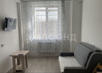 Квартира на продажу студия, 16.3 м2, Новосибирск, Сухановская улица, 6А