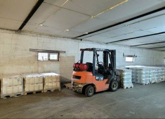 Сдача в аренду склада, 420 м2, деревня Разбегаево, зона 3-й микрорайон, 6