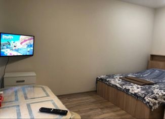 Квартира в аренду студия, 29 м2, Екатеринбург, Онежская улица, 4