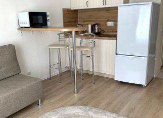 Аренда квартиры студии, 23 м2, Котельники, ЖК Белая Дача Парк, микрорайон Парковый, 1к2