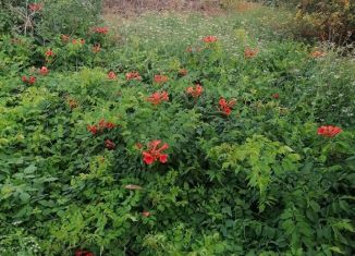 Продается земельный участок, 6.5 сот., товарищество собственников недвижимости Аджимушкаец, Фруктовая улица