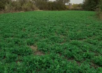 Продажа участка, 10 сот., село Клёновка, Дальняя улица, 18