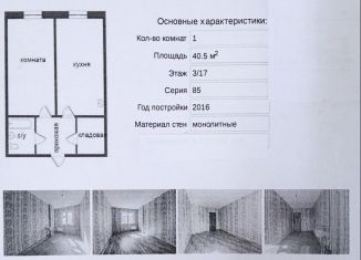 Продам 1-комнатную квартиру, 40.5 м2, Красноярск, Норильская улица, 8Г, ЖК Озеро Парк
